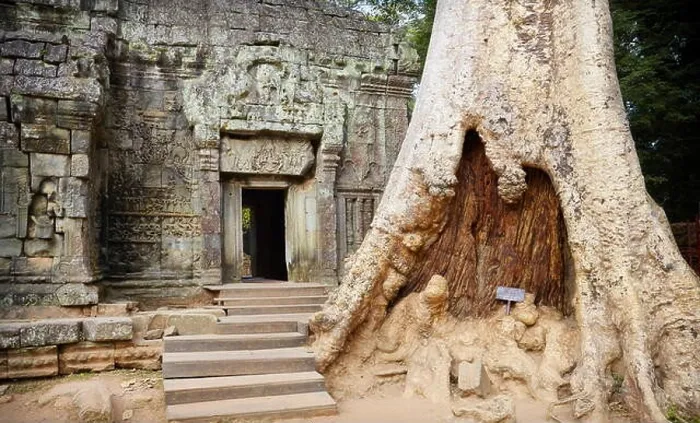 Framed Print : Ta Prohm Temple, Angkor, Cambodia, Asia Framed Print : Ta Prohm Temple, Angkor, Cambodia, Asia