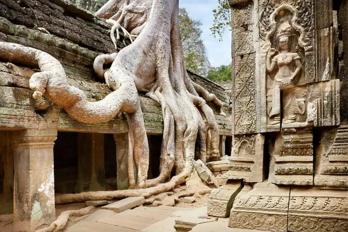 Framed Print : Ta Prohm Temple, Angkor, Cambodia, Asia Framed Print : Ta Prohm Temple, Angkor, Cambodia, Asia
