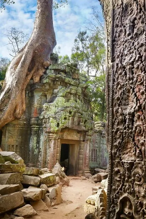 Framed Print : Ta Prohm Temple, Angkor, Cambodia, Asia Framed Print : Ta Prohm Temple, Angkor, Cambodia, Asia