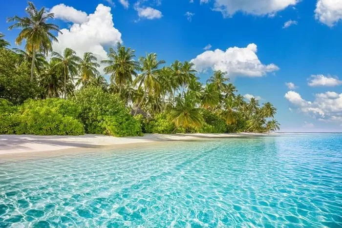 Framed Print : Tahiti or Maldives island panoramic beach. Tropical landscape shore of scenic summer, white sand, palm trees. Luxury travel vacation destination Framed Print : Tahiti or Maldives island panoramic beach. Tropical landscape shore of scenic summer, white sand, palm trees. Luxury travel vacation destination