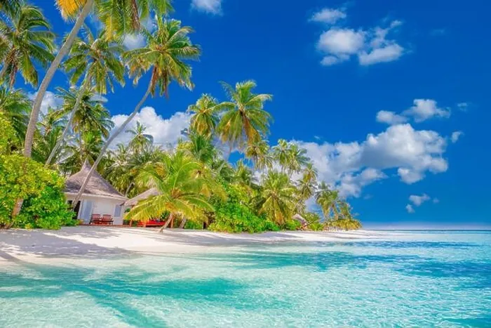 Framed Print : Tahiti or Maldives island panoramic beach. Tropical landscape shore of scenic summer, white sand, palm trees. Luxury travel vacation destination Framed Print : Tahiti or Maldives island panoramic beach. Tropical landscape shore of scenic summer, white sand, palm trees. Luxury travel vacation destination