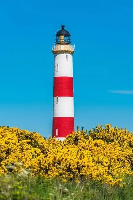 Framed Print : Tarbat Ness Lighthouse, Portmahomack, Highland, East Coast of Scotland, UK Framed Print : Tarbat Ness Lighthouse, Portmahomack, Highland, East Coast of Scotland, UK