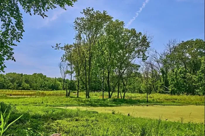 Framed Print : Teaneck Creek Conservancy in Teaneck Framed Print : Teaneck Creek Conservancy in Teaneck