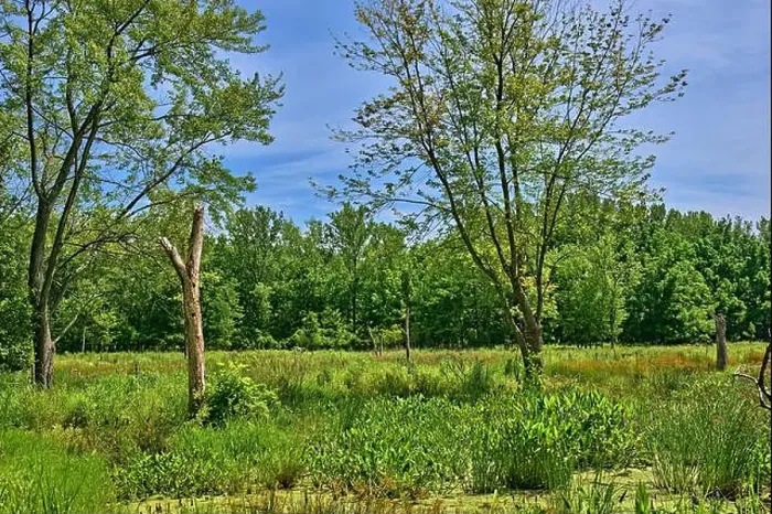 Framed Print : Teaneck Creek Conservancy in Teaneck Framed Print : Teaneck Creek Conservancy in Teaneck