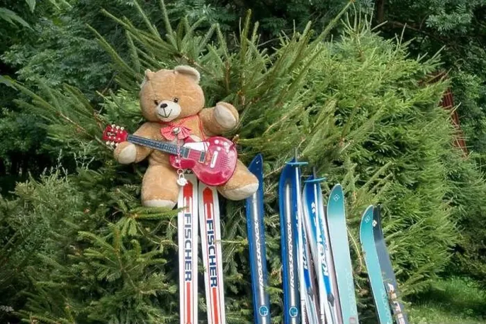 Framed Print : Teddy bear with guitar and skis Framed Print : Teddy bear with guitar and skis