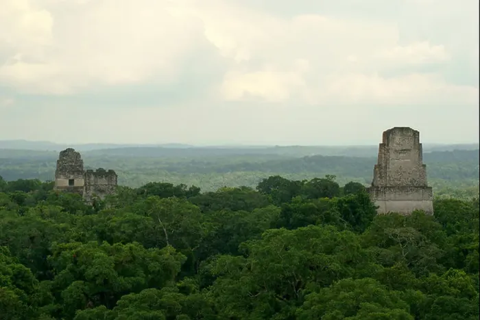 Framed Print : Temple I and Temple II from the top of Temple IV, Tikal, El Peten, Guatemala. Tikal is a UNESCO World Heritage Site Framed Print : Temple I and Temple II from the top of Temple IV, Tikal, El Peten, Guatemala. Tikal is a UNESCO World Heritage Site