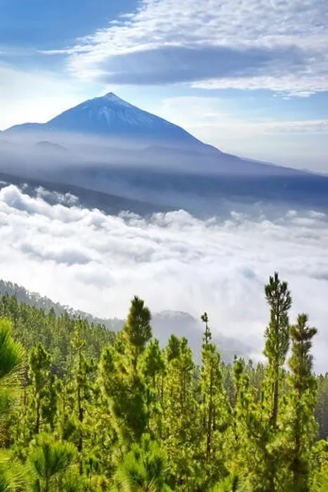 Framed Print : Tenerife - Teide Volcano Mount above sea of clouds, Canary Islands, Spain Framed Print : Tenerife - Teide Volcano Mount above sea of clouds, Canary Islands, Spain