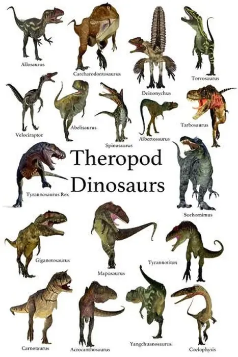 Framed Print : Theropod Dinosaurs - A collection set of Theropod carnivorous dinosaurs from the Cretaceous Framed Print : Theropod Dinosaurs - A collection set of Theropod carnivorous dinosaurs from the Cretaceous