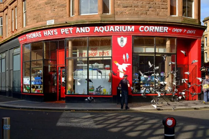 Framed Print : thomas hays pet shop aquarium corner glasgow uk