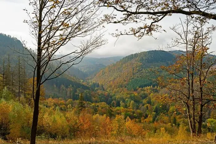 Framed Print : Thuringian Forest near Bad Tabarz in autumn Framed Print : Thuringian Forest near Bad Tabarz in autumn