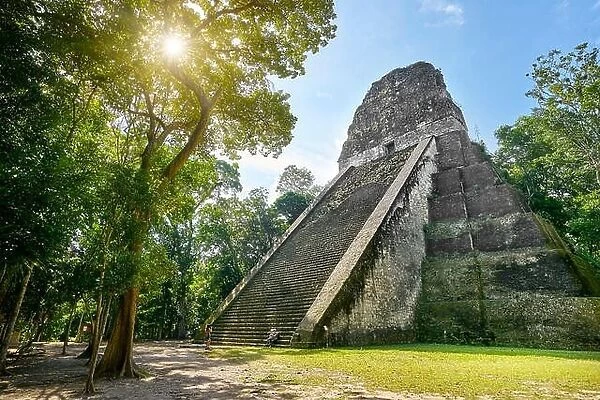 Tikal National Park - Temple V, Ancient Maya Ruins, Yucatan, Guatemala UNESCO