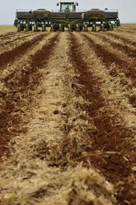 Framed Print : Tillage Corn Framed Print : Tillage Corn