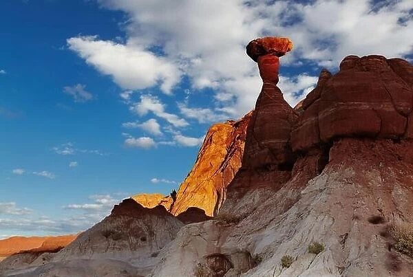 Toadstool Hoodoo amazing mushroom shaped rock in Utah desert, USA