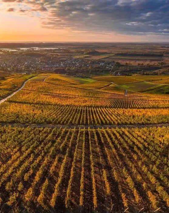 Framed Print : Tokaj, Hungary - Aerial panoramic view of the world famous Hungarian vineyards of Tokaj wine region with town of Tokaj Framed Print : Tokaj, Hungary - Aerial panoramic view of the world famous Hungarian vineyards of Tokaj wine region with town of Tokaj