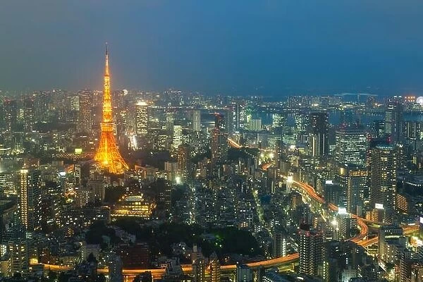 Tokyo city view and Tokyo landmark Tokyo Tower in evening in Tokyo, Japan