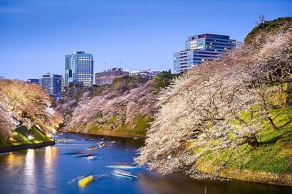 Tokyo, Japan at Chidorigafuchi Imperial Palace moat during the spring season