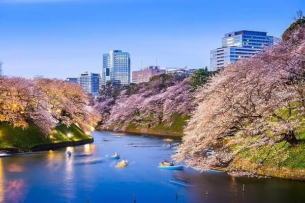 Tokyo, Japan at Chidorigafuchi Imperial Palace moat during the spring season