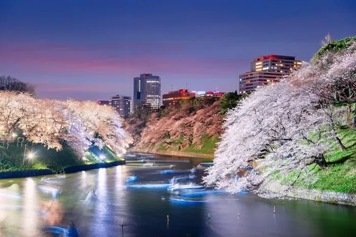 Framed Print : Tokyo, Japan at Chidorigafuchi Imperial Palace Moat in the evening Framed Print : Tokyo, Japan at Chidorigafuchi Imperial Palace Moat in the evening