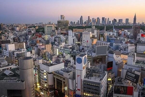 Tokyo, Japan cityscape over the Shibuya district at twilight