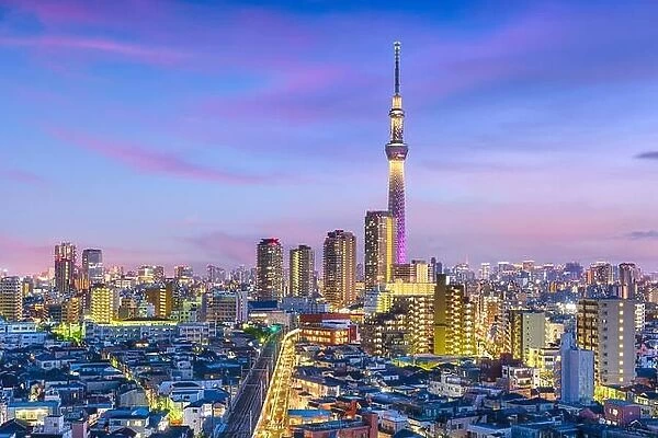 Tokyo, Japan cityscape over Sumida Ward