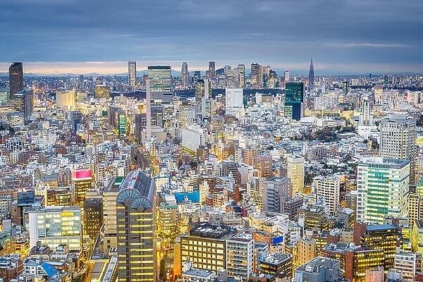 Tokyo, Japan cityscape view over the Ebisu District towards Shinjuku at dusk