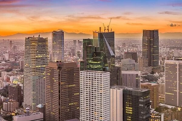 Tokyo, Japan financial buildings cityscape at dusk