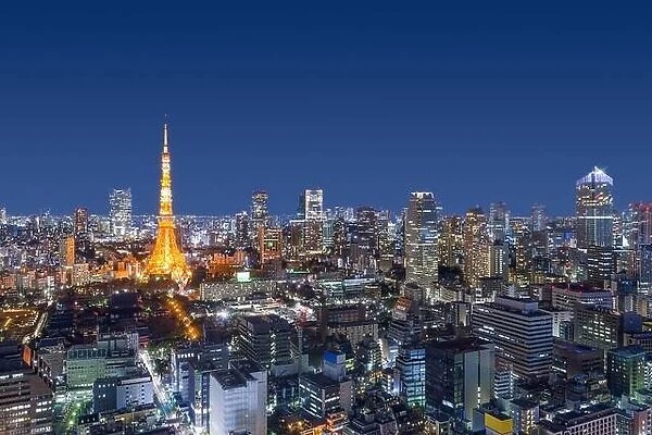 Tokyo, Japan modern urban skyline at night overlooking the tower