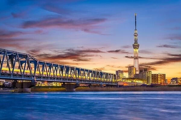 Tokyo, Japan skyline and bridge on the Arakawa River