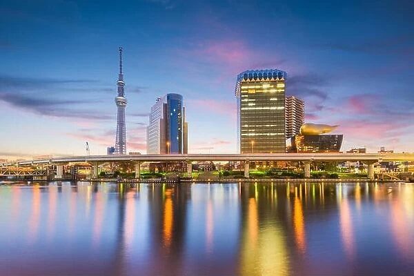 Tokyo, Japan skyline on the Sumida River at dawn