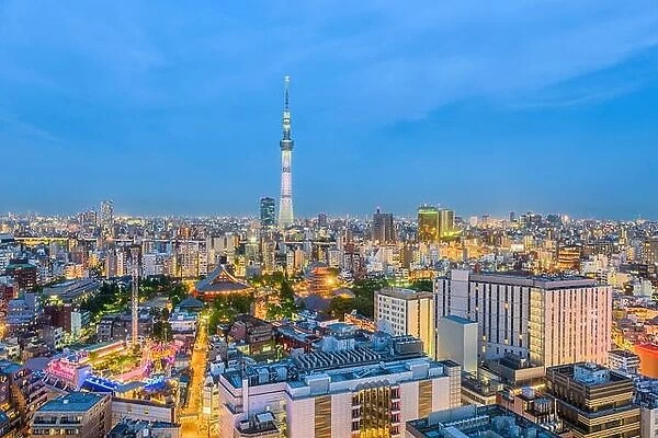 Tokyo, Japan skyline and tower