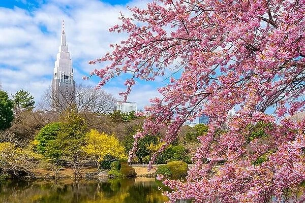 Tokyo, Japan Spring