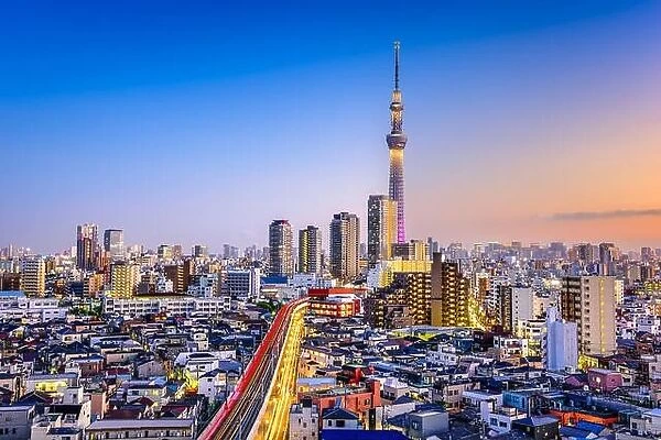 Tokyo, Japan Sumida skyline