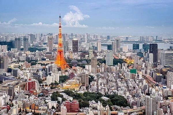 Tokyo, Japan tower and skyline