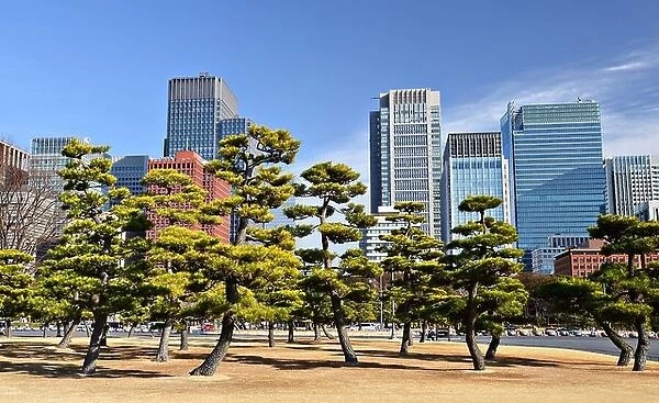 Tokyo, Japan's Marunouchi Business District viewed from the grounds of Tokyo Imperial Palace