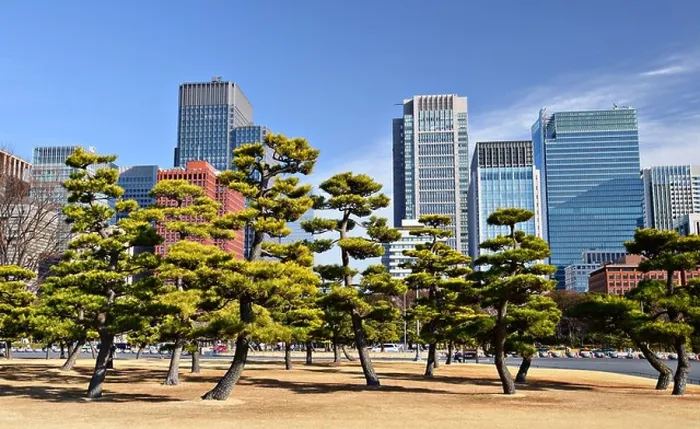 Framed Print : Tokyo, Japan's Marunouchi Business District viewed from the grounds of Tokyo Imperial Palace Framed Print : Tokyo, Japan's Marunouchi Business District viewed from the grounds of Tokyo Imperial Palace