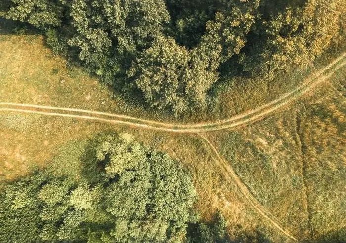 Framed Print : Top-down aerial view of path crossing meadow and forest. Textured natural background Framed Print : Top-down aerial view of path crossing meadow and forest. Textured natural background