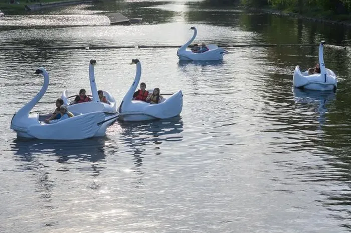 Framed Print : Toronto, ON, Canada - June 4, 2024: People enjoying a swan boat ride in an Amusement park at Centre Island Framed Print : Toronto, ON, Canada - June 4, 2024: People enjoying a swan boat ride in an Amusement park at Centre Island