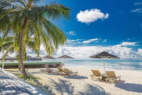 Tourism vacation landscape. Luxurious beach resort and beach chairs or loungers under umbrellas with palm trees and blue sky. Summer leisure carefree