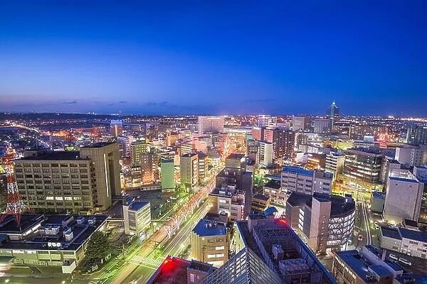 Toyama City, Japan downtown skyline aerial view at night