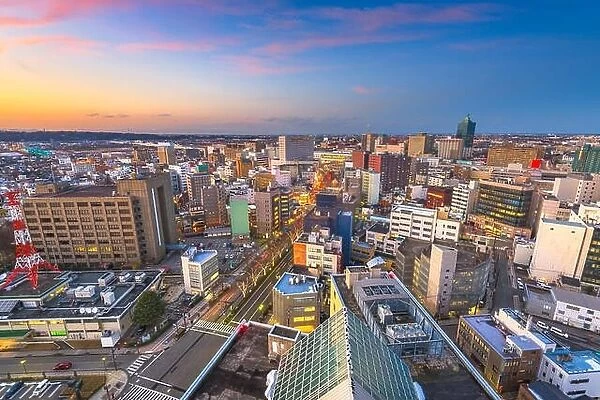 Toyama, Japan downtown city skline from above at dusk