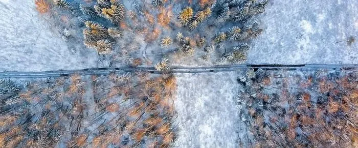 Framed Print : Track in wet ground left by logging tractor in winter forest from above Framed Print : Track in wet ground left by logging tractor in winter forest from above