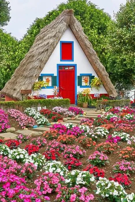 Framed Print : Traditional home palheiros, Santana, Madeira Island, Portugal Framed Print : Traditional home palheiros, Santana, Madeira Island, Portugal