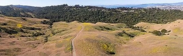 Trails meander through the grass-covered hills of the East Bay, just a few miles from San Francisco Bay in Northern California