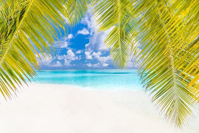 Framed Print : Tranquil beach banner. Palm trees and amazing blue sea view with white sand Framed Print : Tranquil beach banner. Palm trees and amazing blue sea view with white sand
