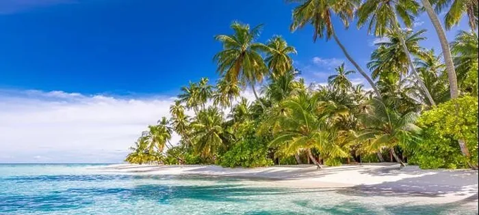 Framed Print : Tranquil beach scene. Sunny exotic tropical beach landscape. Summer vacation holiday concept. Luxury travel destination, idyllic nature, palms, sea Framed Print : Tranquil beach scene. Sunny exotic tropical beach landscape. Summer vacation holiday concept. Luxury travel destination, idyllic nature, palms, sea