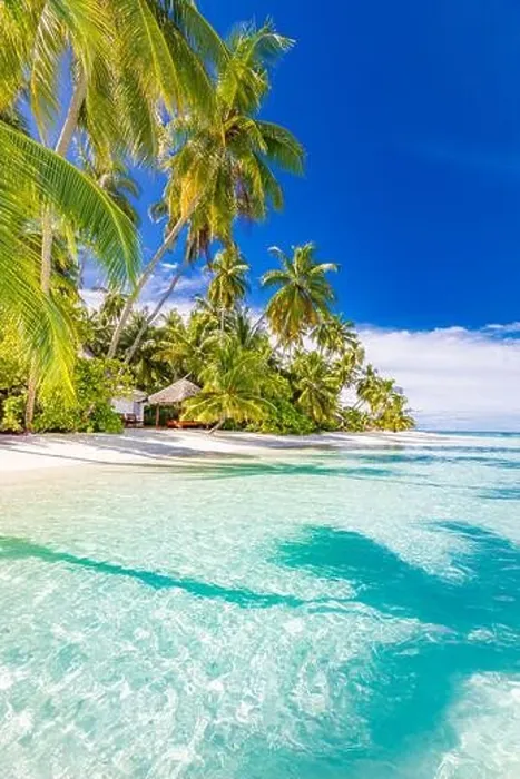 Framed Print : Tranquil beach scene. Sunny exotic tropical beach landscape. Summer vacation holiday concept. Luxury travel destination, idyllic nature, palms, sea Framed Print : Tranquil beach scene. Sunny exotic tropical beach landscape. Summer vacation holiday concept. Luxury travel destination, idyllic nature, palms, sea