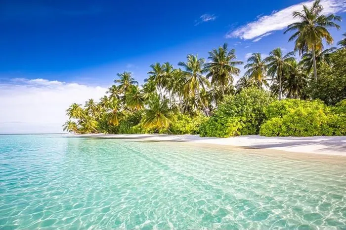 Framed Print : Tranquil beach scene. Sunny exotic tropical beach landscape. Summer vacation holiday concept. Luxury travel destination, idyllic nature, palms, sea Framed Print : Tranquil beach scene. Sunny exotic tropical beach landscape. Summer vacation holiday concept. Luxury travel destination, idyllic nature, palms, sea
