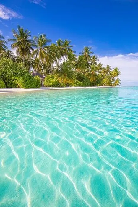 Framed Print : Tranquil beach scene. Sunny exotic tropical beach landscape. Summer vacation holiday concept. Luxury travel destination, idyllic nature, palms, sea Framed Print : Tranquil beach scene. Sunny exotic tropical beach landscape. Summer vacation holiday concept. Luxury travel destination, idyllic nature, palms, sea