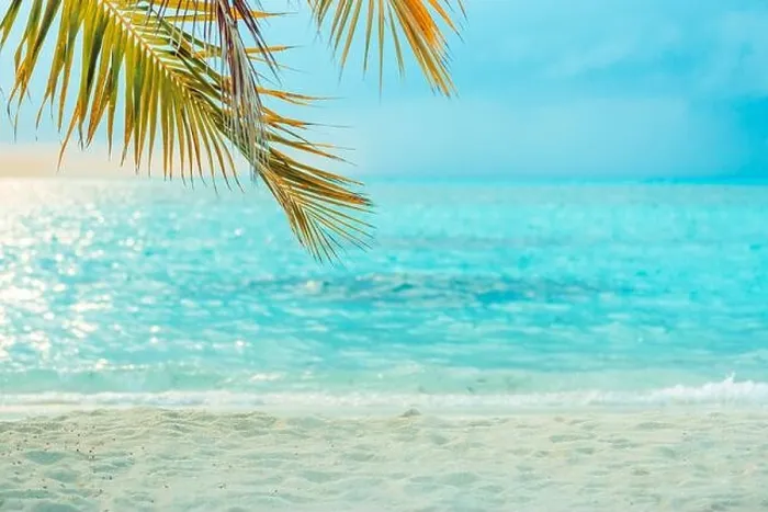 Framed Print : Tranquil and peaceful beach background. Travel and vacation landscape backdrop. Amazing palm leaf over blur dream summer sea view. Sunset beach scene Framed Print : Tranquil and peaceful beach background. Travel and vacation landscape backdrop. Amazing palm leaf over blur dream summer sea view. Sunset beach scene