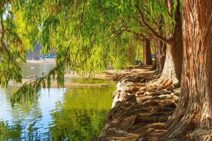 Framed Print : Tranquil scene by the river in Riverside Framed Print : Tranquil scene by the river in Riverside